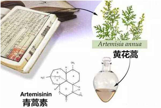 开云平台客服,开云（中国）：向中医药看齐，与世界共享中医药文化(图1)